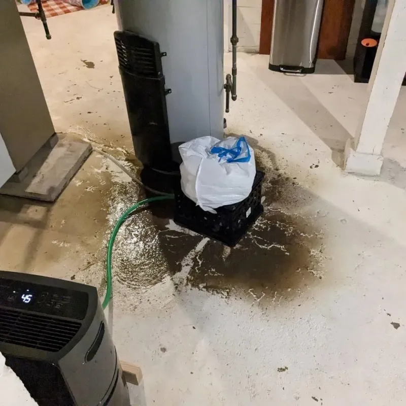 Sewage Backup Cleanup Service in Georgetown County, SC